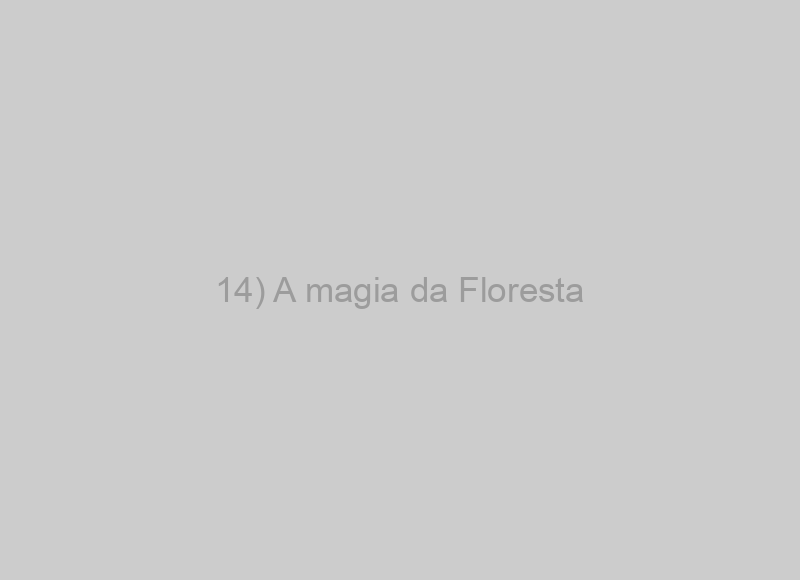 14) A magia da Floresta